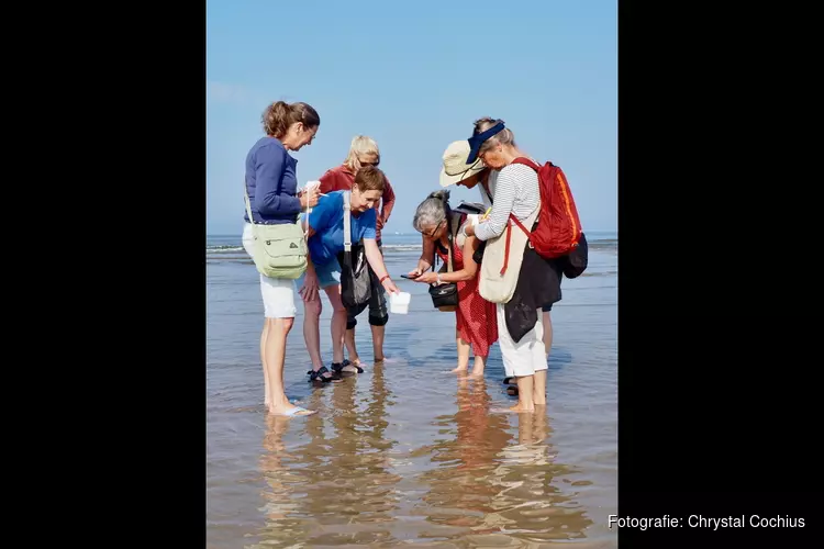 Eerste Groene Strand-excursie Camperduin