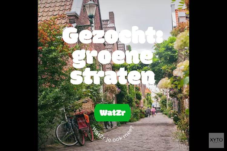 Groene Straten Gezocht