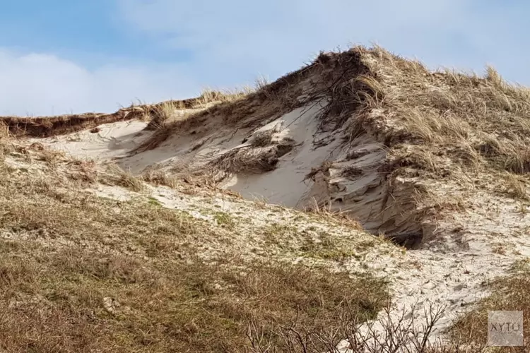 7 november wandeling Bergen aan Zee