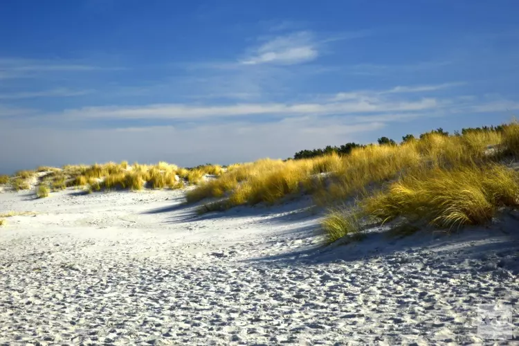 Op zoek naar de winter