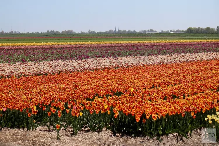 Provincie koopt grond in Egmond-Binnen