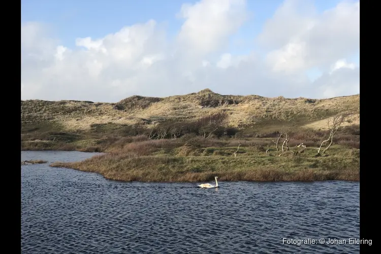 Duin- en strandwandeling in Bergen aan Zee