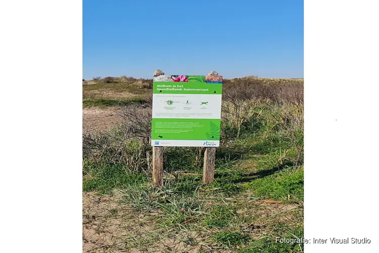 Overleden persoon gevonden in duinen Egmond aan Zee