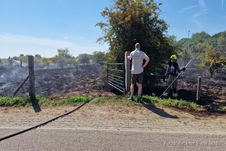 Brand in de duinen bij Castricum