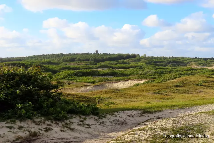 Natuur- en cultuurwandeling Bergen aan Zee