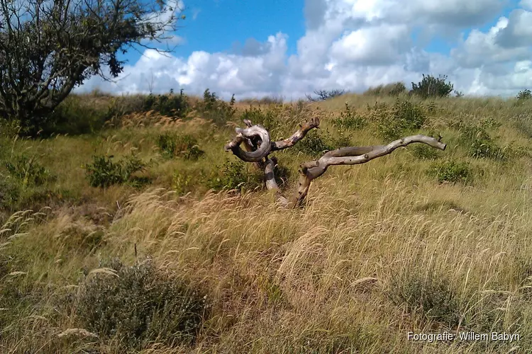 Laat je verrassen door wonderen in de natuur.