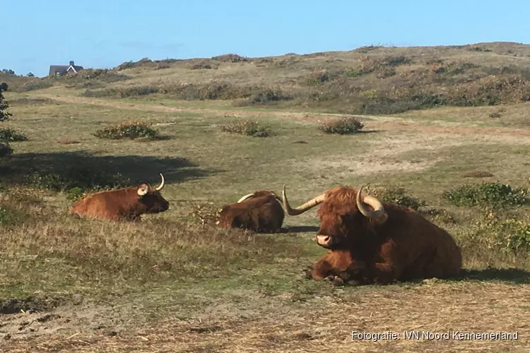 Natuur-en cultuurwandeling in Bergen aan Zee