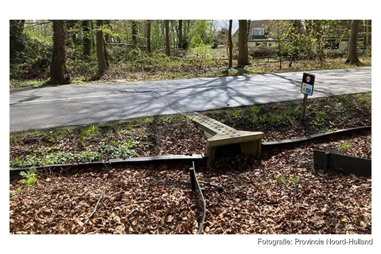 Asfalteren Herenweg (N511) in Bergen na vervanging paddentunnels