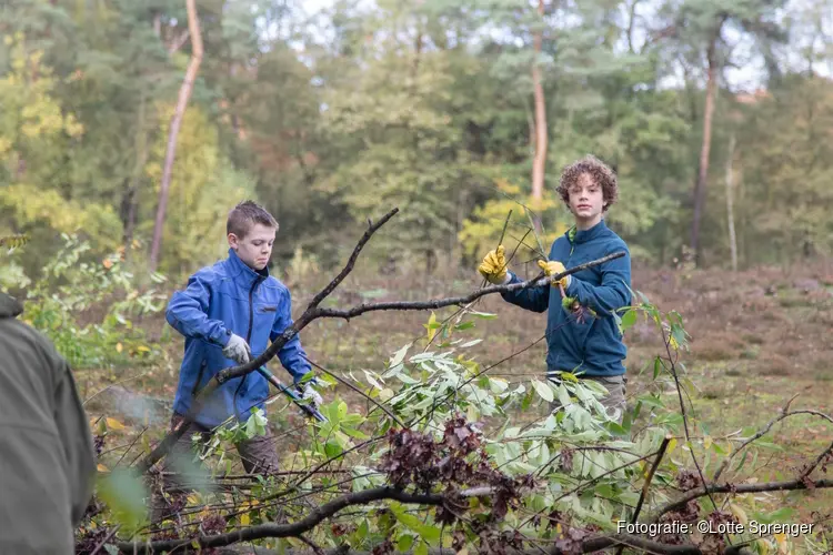 Natuurwerkdag bij Staatsbosbeheer in de Schoorlse Duinen