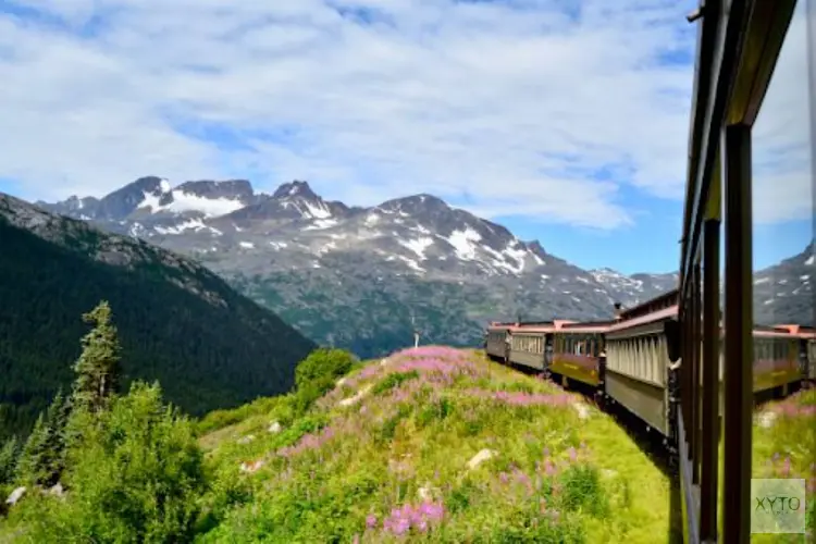 Treinreis door Zwitserland en Schotland: Verkenning van adembenemende landschappen