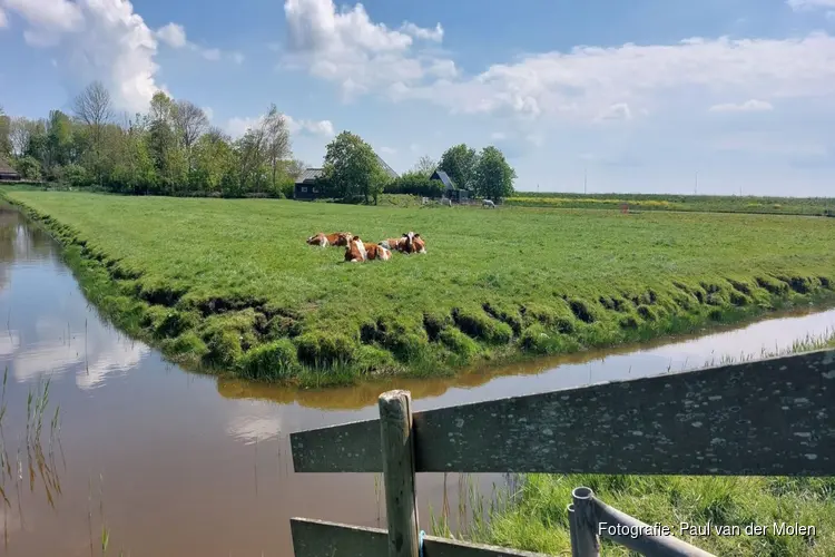 € 5 miljoen subsidie voor versterking netwerk landschapselementen