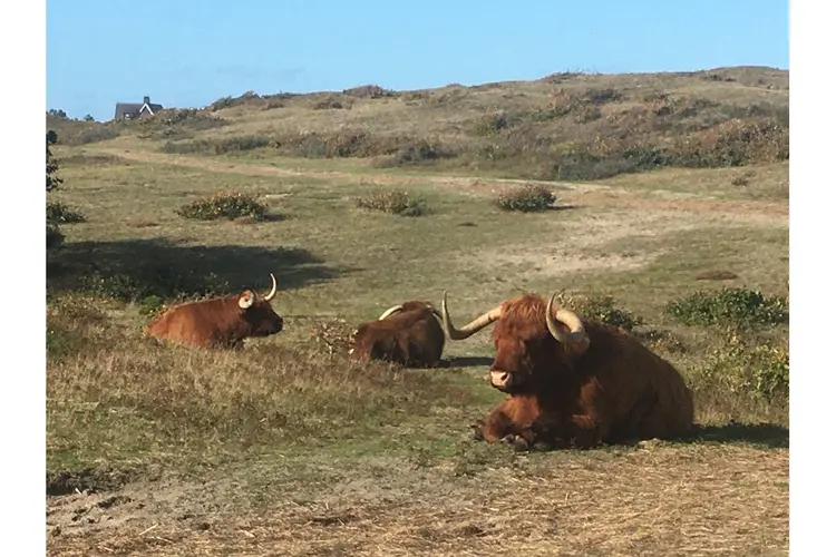 Natuur- en cultuurwandeling Bergen aan Zee