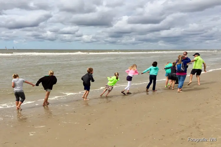 Op zondag 18 augustus ‘s ochtends vroeg met IVN-gidsen korren in de branding van Bergen aan Zee