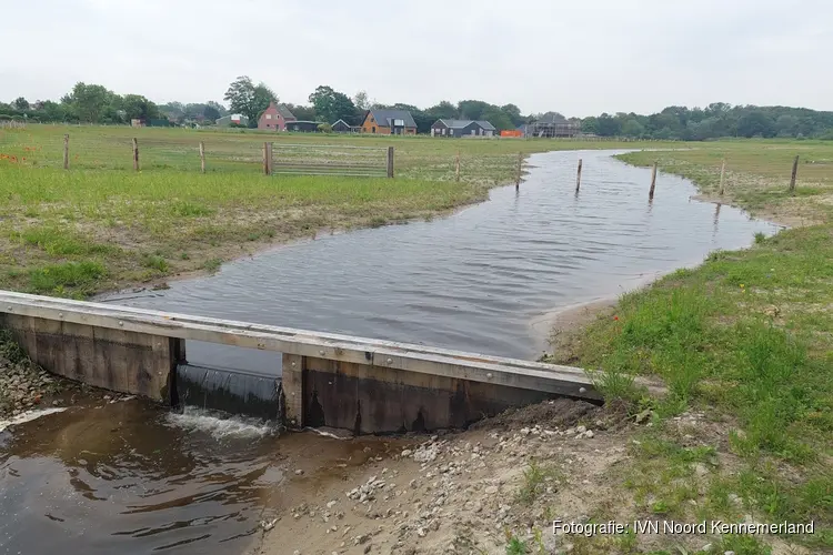 Wandeling 6 oktober Hoe staat het "Pollenland" er bij?