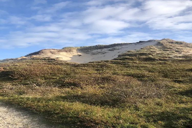 Hoe ontstaan dit soort duinen en hoe worden ze genoemd?