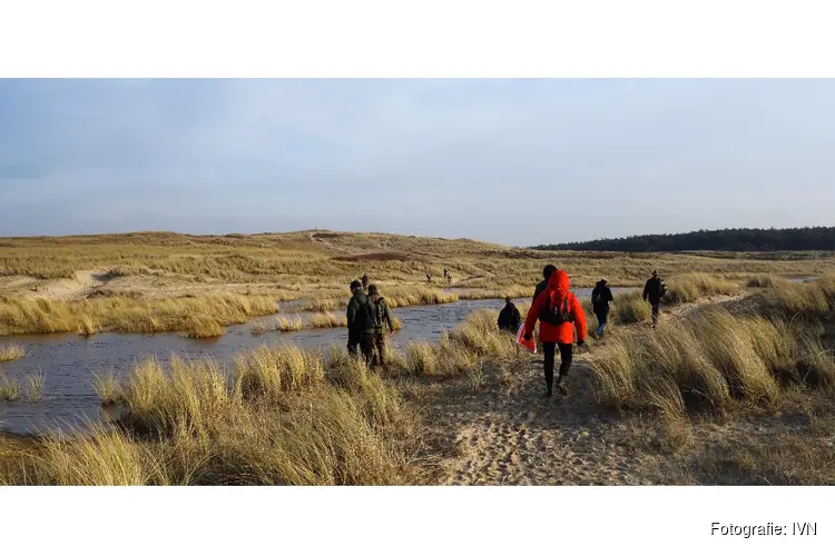 Winterse JUTWANDELING in KERSTSFEER vanuit Bergen aan Zee naar de Kerf