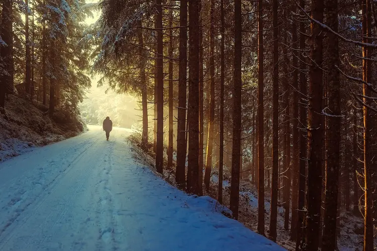 Winterse wandeling op 25 december in Bergen