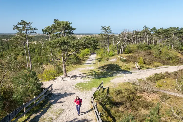 Historische wandelroute door de duinen gereconstrueerd