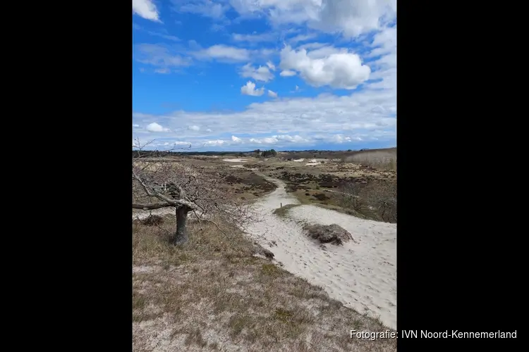 Voorjaarswandeling  in de duinen bij de  Duinheide Bergen  op zondag 10 maart