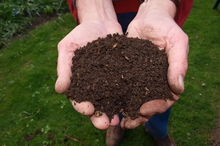 Gratis compost scheppen op landelijke compostdag