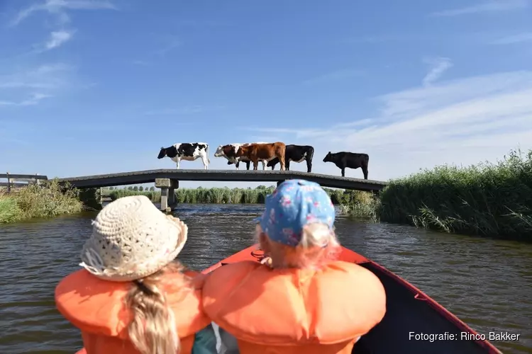 "Water. Geniet ervan!" Doe mee aan de zomerse fotowedstrijd