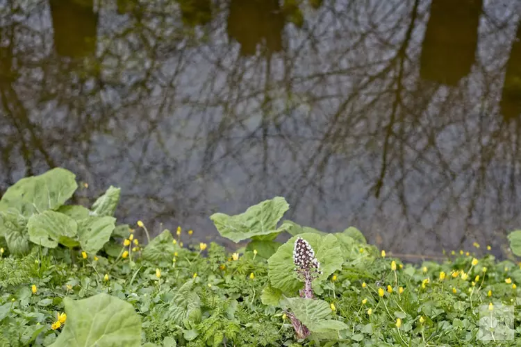 Maak maaien mogelijk: verwijder bootjes en obstakels!