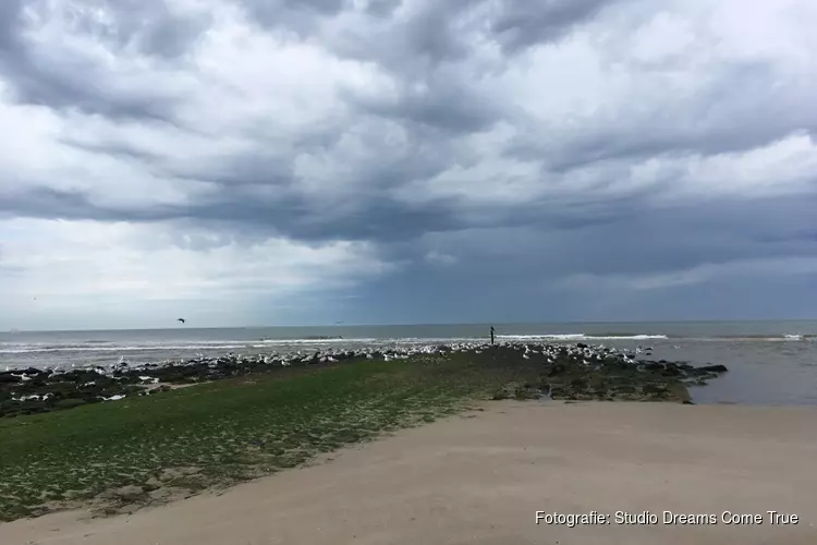 Dagje aan het Strand