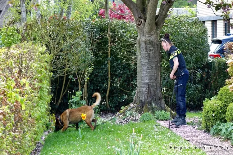 Politiehond op zoek naar dader(s) na inbraak Bergen